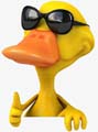 Avatar de l’utilisateur