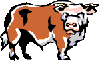 Avatar du membre