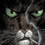 Avatar du membre
