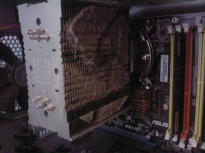 SP_A0036.jpg