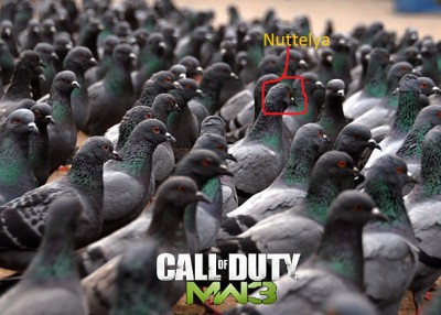 nutt.jpg