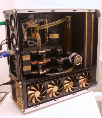 gold4.jpg