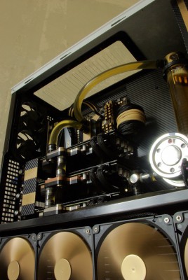 gold8.jpg