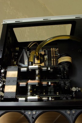 gold10.jpg