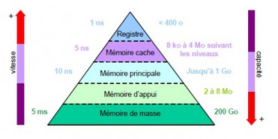 hierarchie.jpg